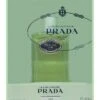 Prada Women's 6.8oz Les Infusions De Iris EDP Spray (Collection Edition)