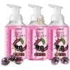 Set Of 3 Foaming Hand Soaps In Black Cherry, Hand Wash For All Skin Types Women -Care Products 3050144319 RLLD 1